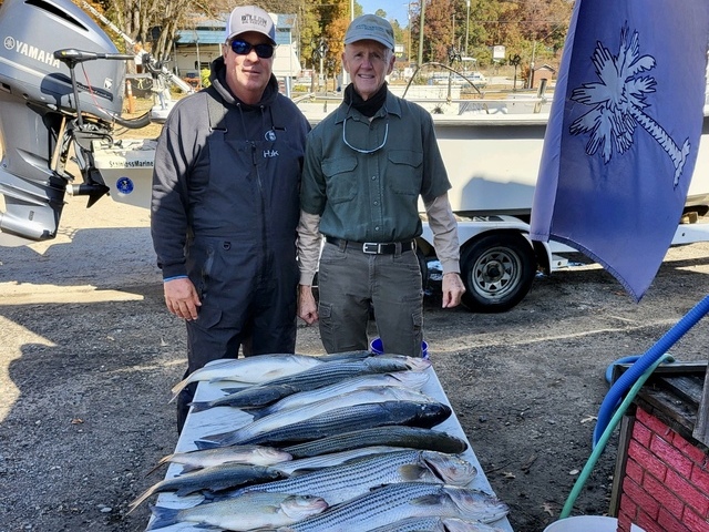 Lake Greenwood fishing
