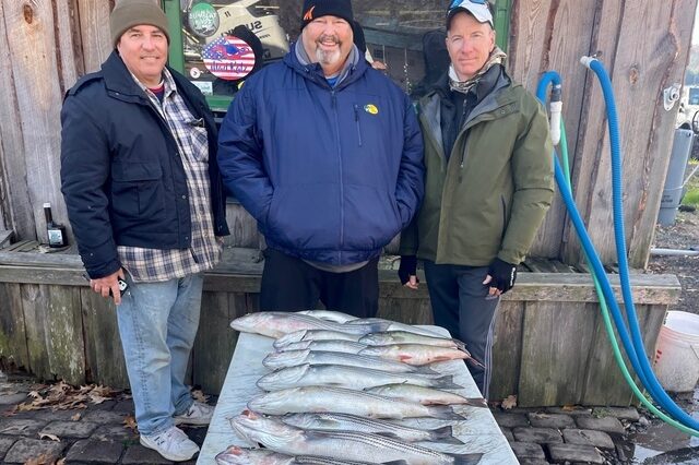 Lake Greenwood Striper fishing