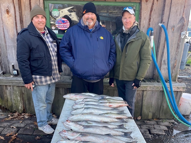 Lake Greenwood Striper fishing