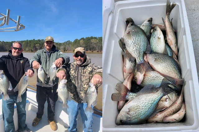 Lake Greenwood Crappie fishing
