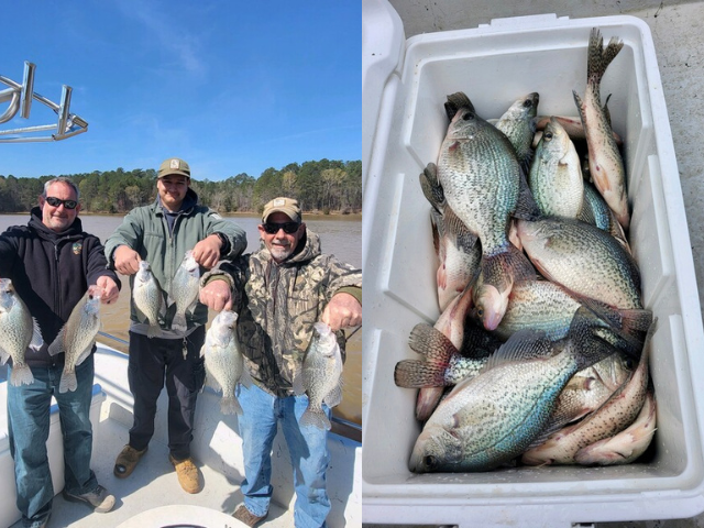 Lake Greenwood Crappie fishing