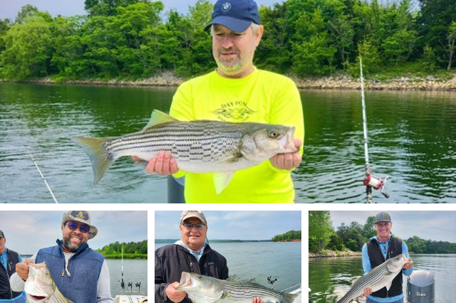 Lake Greenwood Striper fishing