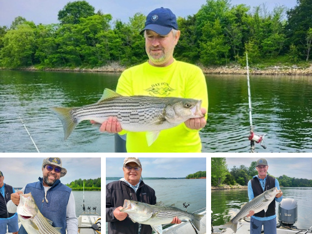 Lake Greenwood Striper fishing