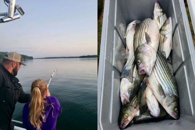 Lake Greenwood Striper fishing