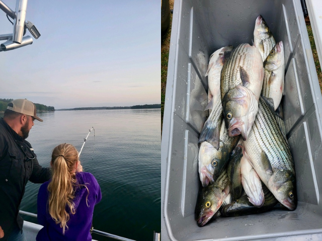 Lake Greenwood Striper fishing