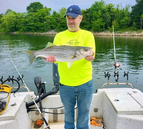 Lake-Greenwood-Striper-fishing-2-1