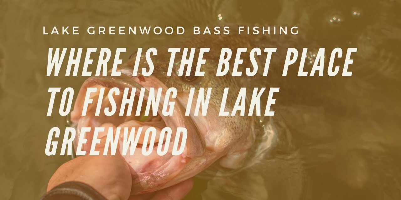 Fish in Lake Greenwood