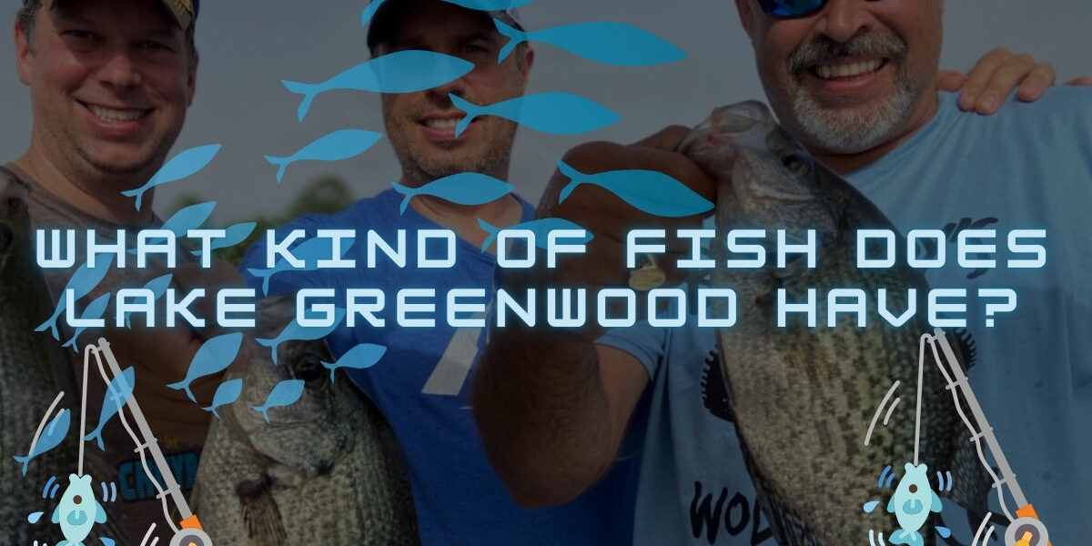 Kind of Fish Does Lake Greenwood Have