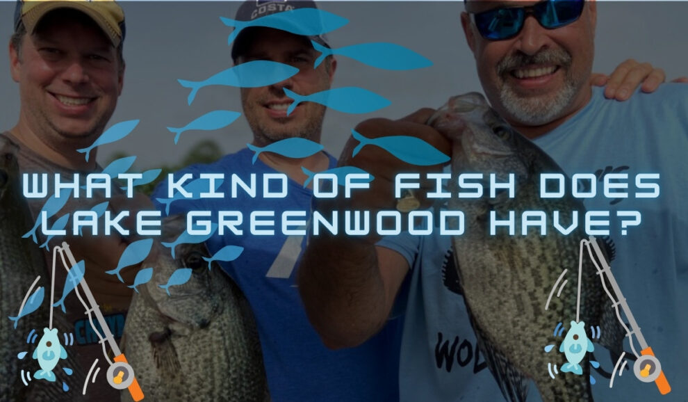 Kind of Fish Does Lake Greenwood Have