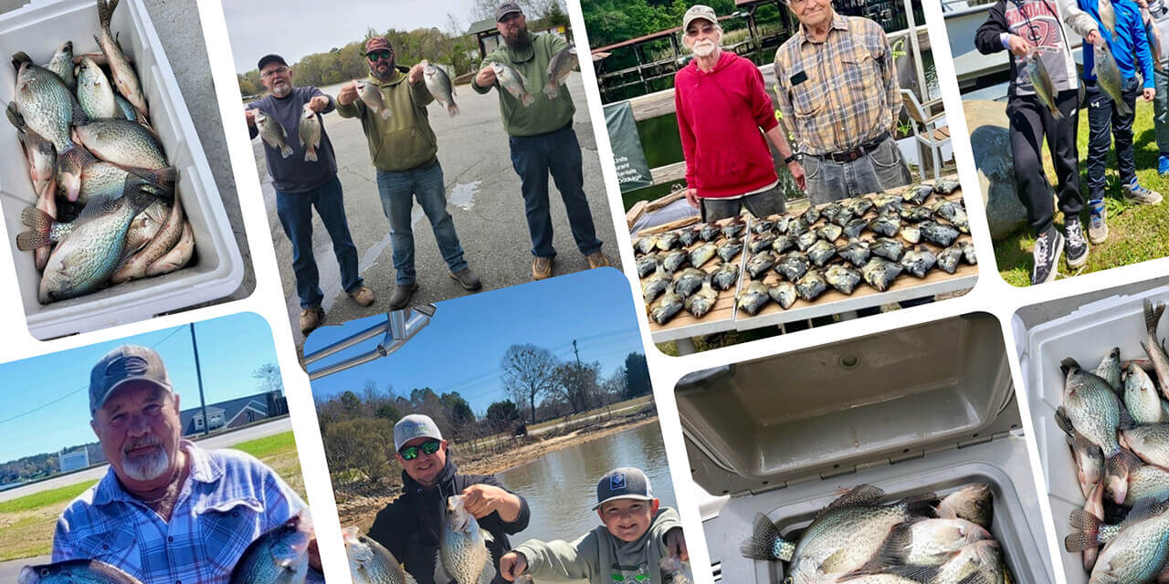 Catch Crappie Fishing in Lake Greenwood