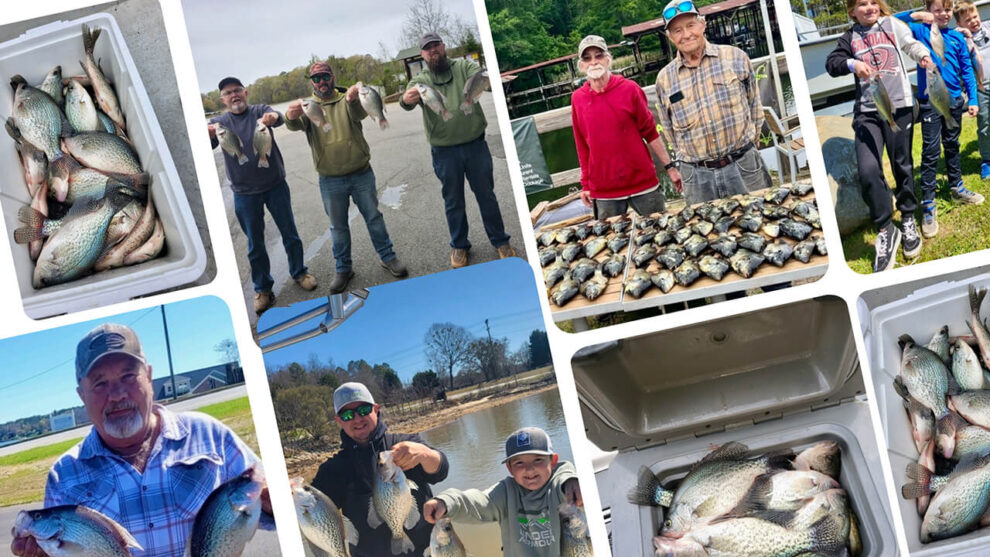 Catch Crappie Fishing in Lake Greenwood