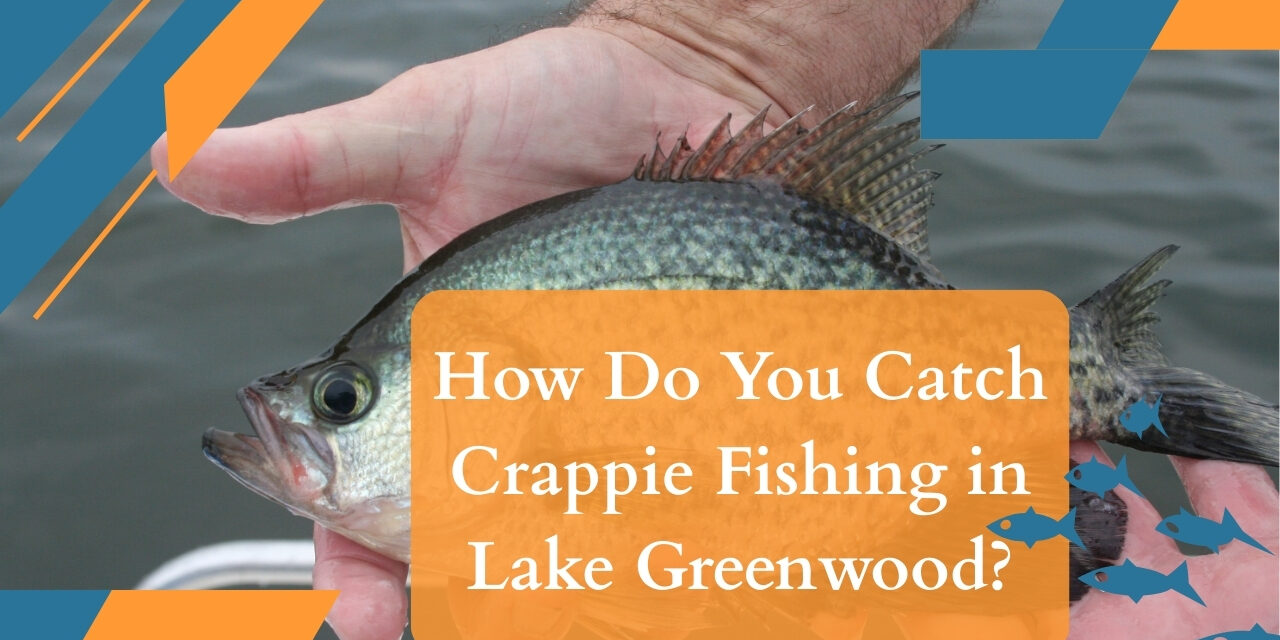 Catch-Crappie-Fishing-in-Lake