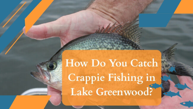 Catch-Crappie-Fishing-in-Lake