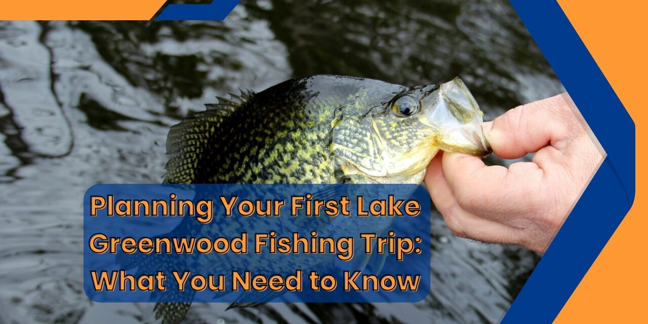 Planning Your First Lake Greenwood Fishing Trip