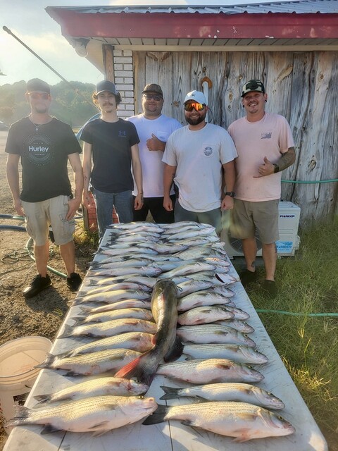 Lake Greenwood fishing