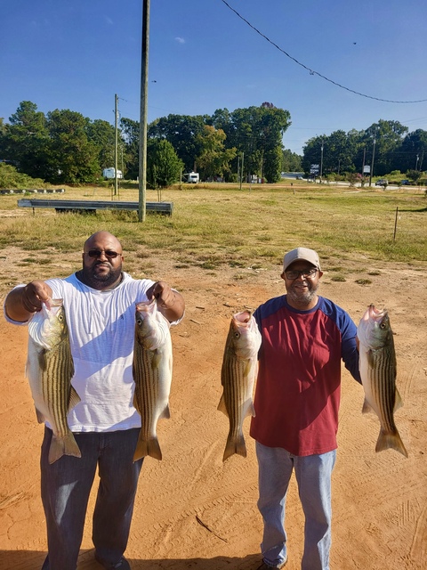 Lake Greenwood Striper fishing