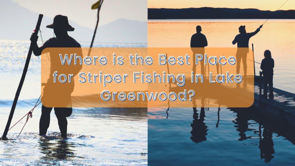 Best Place for Striper Fishing in Lake Greenwood