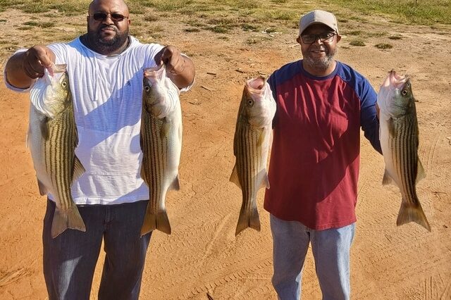 Lake Greenwood Striper fishing