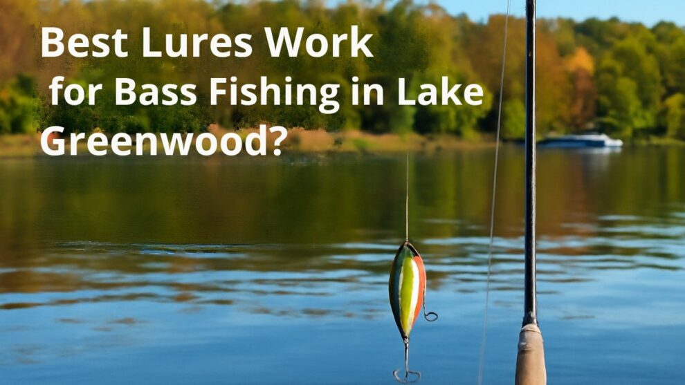 Lures Work Best for Bass Fishing
