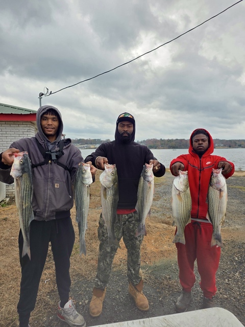 Lake Greenwood fishing