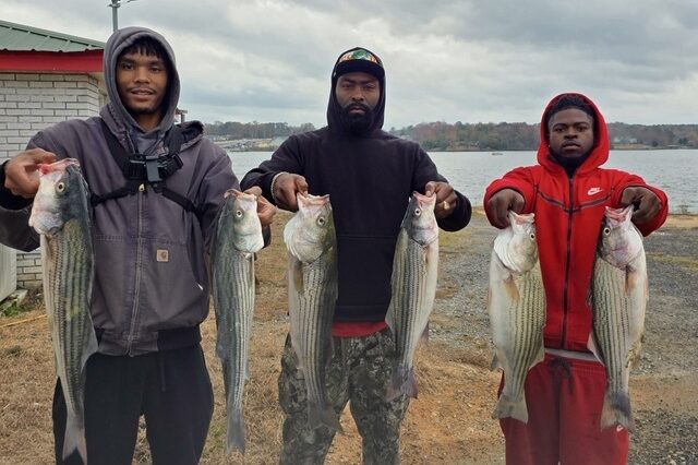 Lake Greenwood fishing