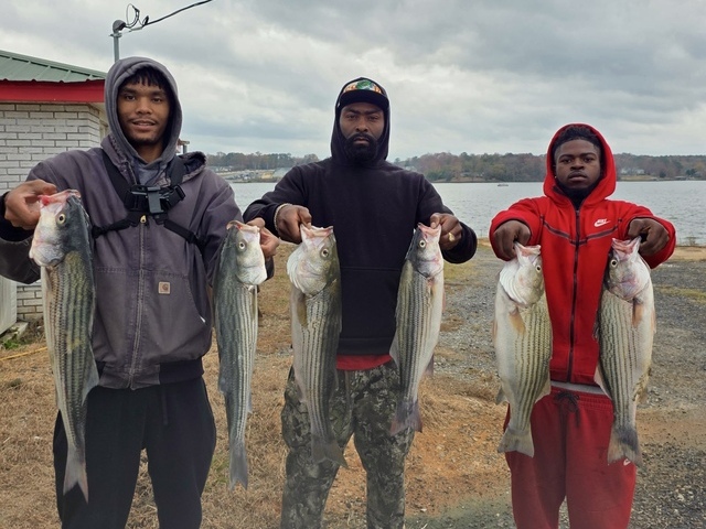 Lake Greenwood fishing