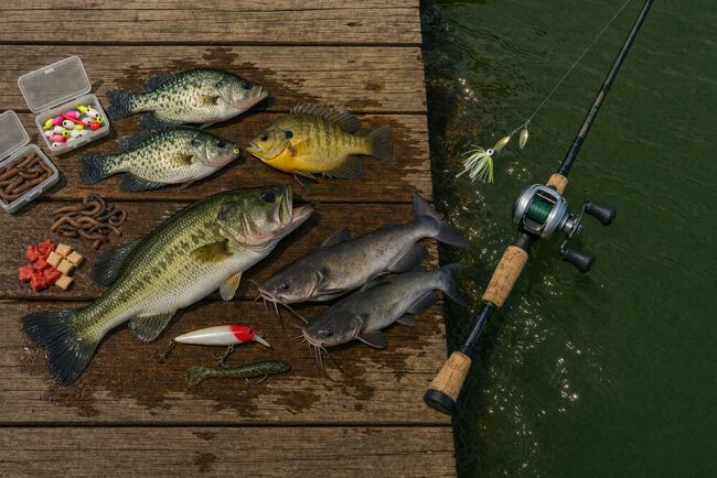 Fish Are Biting on Lake Greenwood