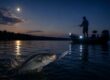 Stripers Hit Lures at Night on Lake Greenwood