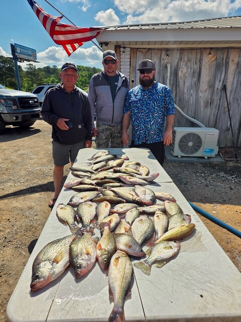 Lake Greenwood Fishing