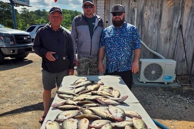 Lake Greenwood Fishing