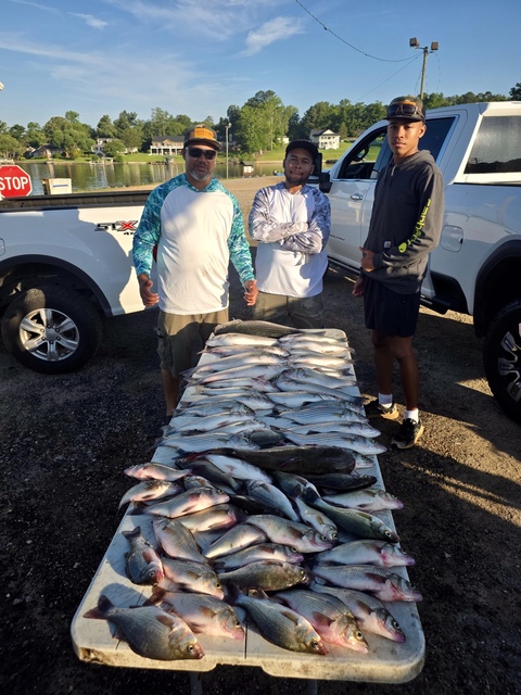 Lake Greenwood Fishing