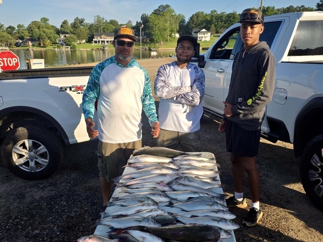 Lake Greenwood fishing