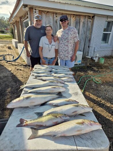 Lake Greenwood Fishing