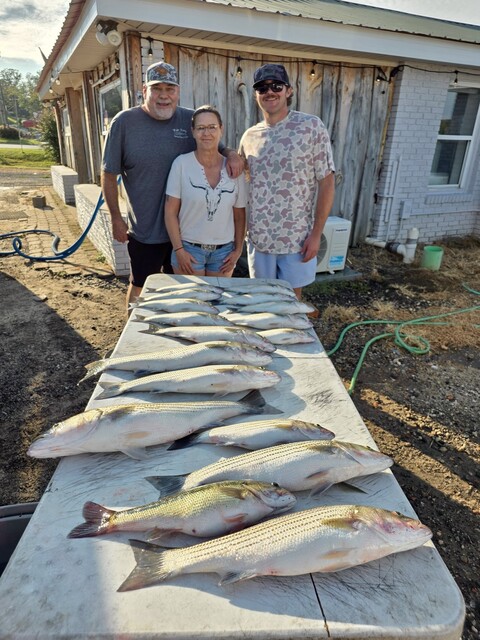 Lake Greenwood Fishing