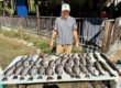 Lake Greenwood Crappie fishing